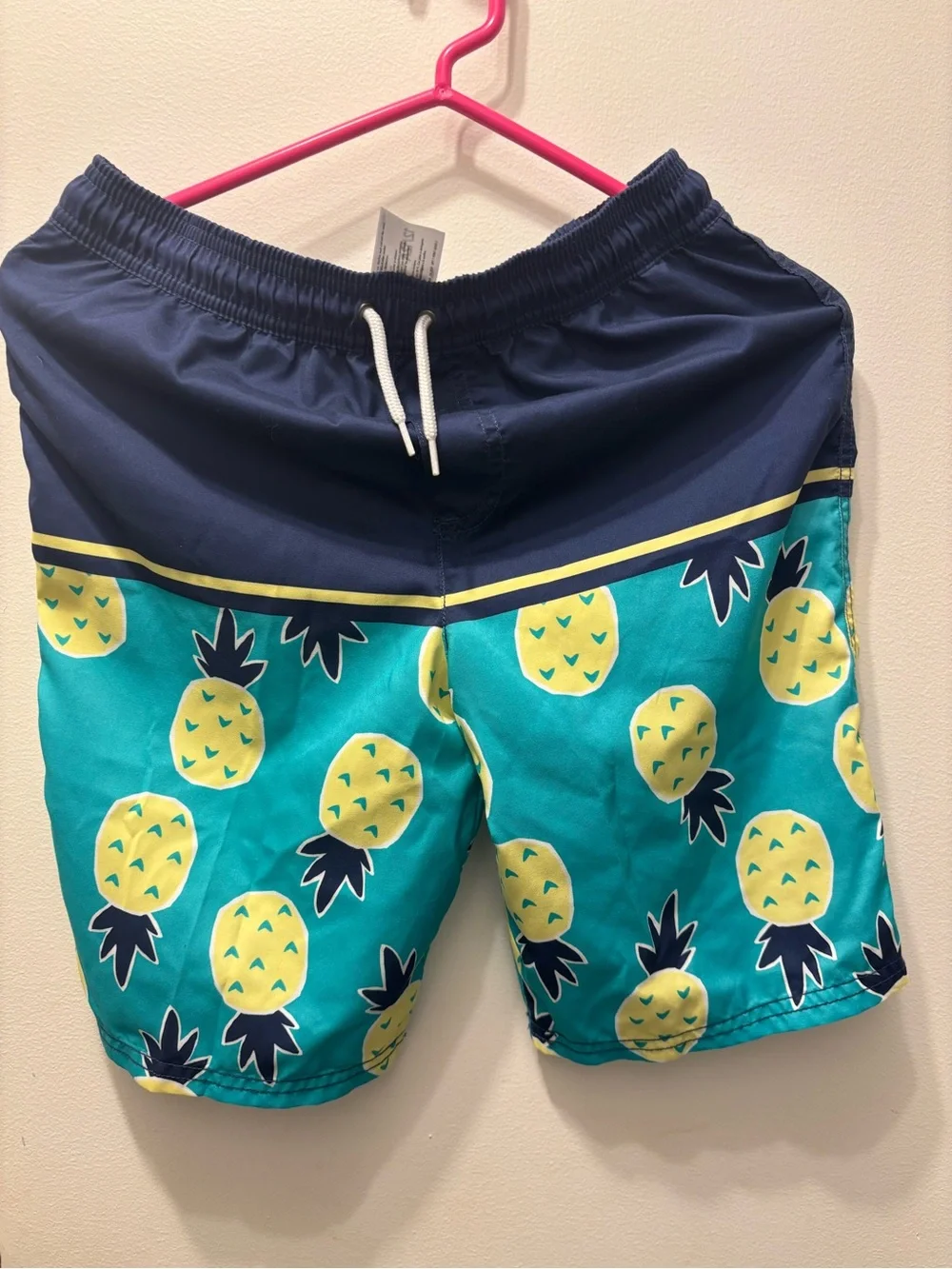 Carter's Teal and Navy Pineapple Swim Shorts